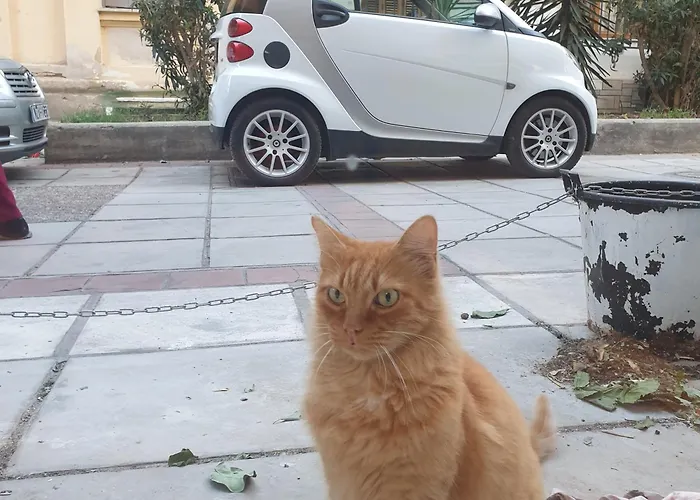 Glow Haven Апартаменты Салоники